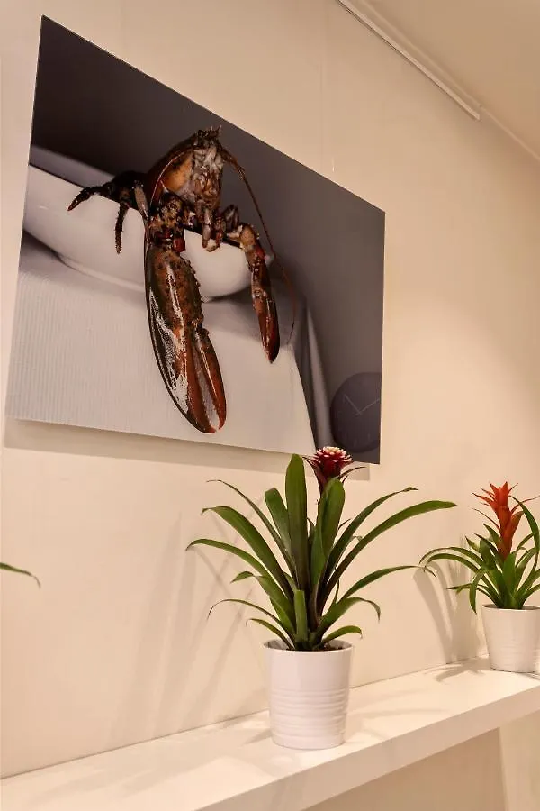Top Located Cozy Apartments Next To Kmska Antwerp Belgium
